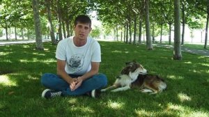 Плюсы и минусы бордер-колли и характер породы — стоит ли заводить самую умную собаку