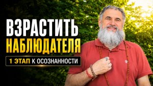 Внутренний свидетель | Как перестать зависеть от чужих оценок и обрести свободу | Джняна-йога
