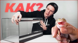 Как правильно собрать террариум для эублефаров?