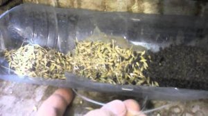 Бункерная кормушка для кроликов своими руками