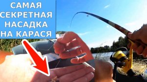 Какая самая лучшая насадка на карася? Карась плывет с другого берега. Насадка для карася. Карась .