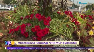 Московская площадь «утонула» в бегониях