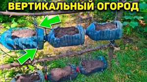 Выращиваю огород на стене. Вертикальная грядка из бутылок своими руками.