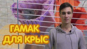 Как сделать гамак для крысы своими руками