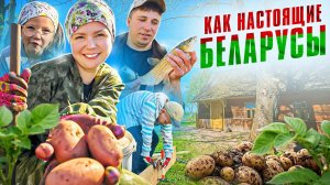 ДЕРЕВЕНСКАЯ ЖИЗНЬ! Как ПРАВИЛЬНО сажать КАРТОШКУ? Плюс ДИКАЯ РЫБАЛКА на три ведра