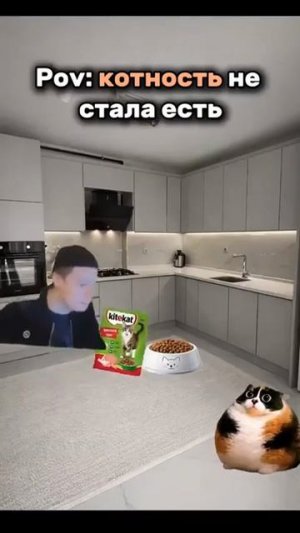 котось