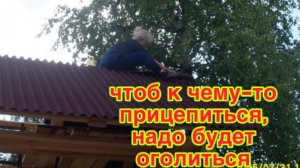 30/6 26 МОГУ РАБОТАТЬ ШТУРМАНОМ.  БУДУ ТАНЦЕВАТЬ И ПИЛИТЬ КОНТЕНТ.  НЕЛЬЗЯ БАЛОВАТЬ, А ТО ОБНАГЛЕЮТ.