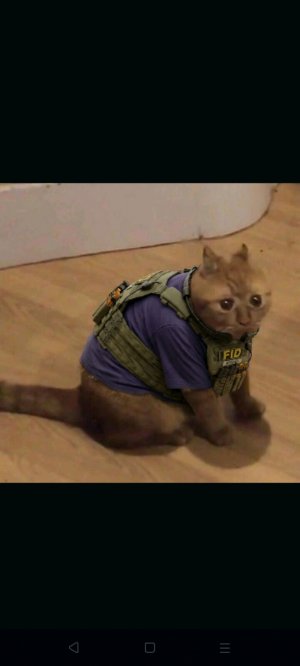 лкос