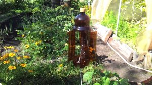 Вертушка из пластиковой бутылки, отпугивание птиц и кротов