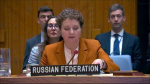 Выступление А.М.Евстигнеевой на заседании СБ ООН по ситуации на Ближнем Востоке