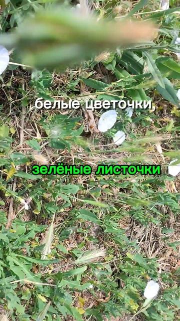 Для родителей детей 1 год +