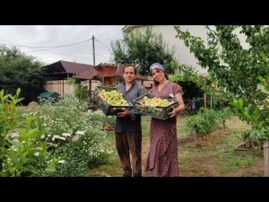 🇰🇿 Как живут люди в КАЗАХСТАНЕ / Лучшее ПОВИДЛО из Яблок 😋Собираем УРОЖАЙ / Наши уютные ЛЕТНИЕ дни 🏡