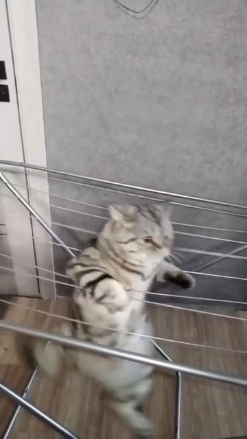 Идеально выполненный элемент!