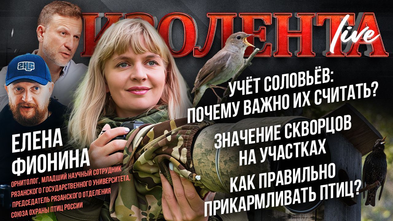 Учёт соловьёв: почему важно их считать? | Скворцовы на участках | Как правильно прикармливать птиц? смотреть онлайн
