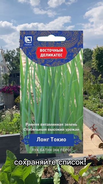 Обзор сортов редиса