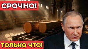СРОЧНО! Европа на коленях умоляет Москву о древесине — ответ Кремля заставил замолчать Брюссель!