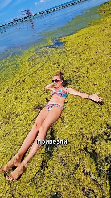 Пляжи в Анапе превратились в болота