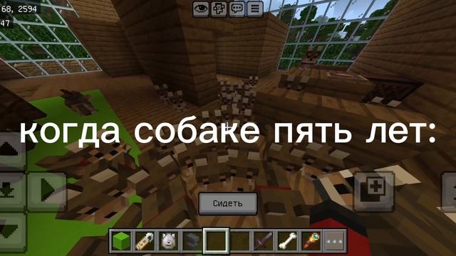 Когда собаке месяц, против год.