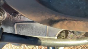 Honda Tact AF-79, 29.06.2026 год.