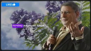 25 вещей, от которых нужно избавиться после 60 пока они не разрушили вашу жизнь
