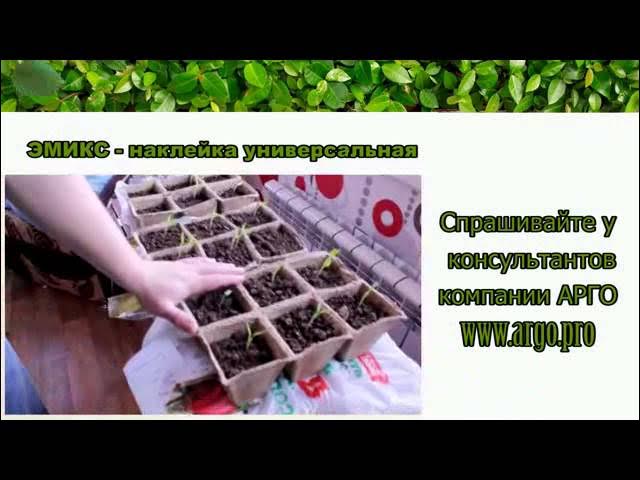 эмикс пленка смотреть онлайн
