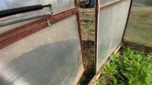 Термопривод для теплицы. Автоматическое открывание теплицы без соседей.