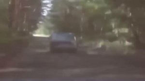 Малолетние угонщики устроили гаишникам автопробег Нижняя Салда - Верхняя Салда - Нижний Тагил