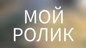 грибы
