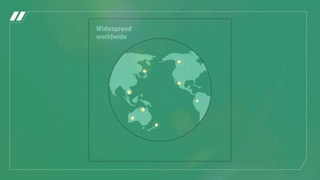 Сервисная поддержка DIHR смотреть онлайн