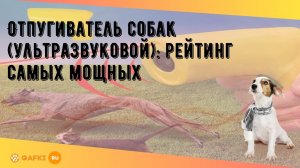 Отпугиватель собак (ультразвуковой): рейтинг самых мощных