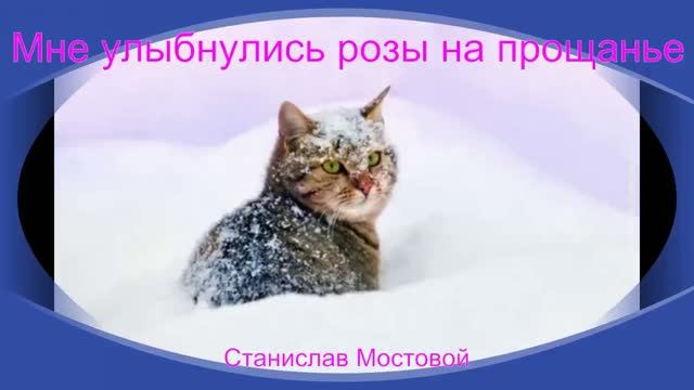 Лирика вокруг нас
