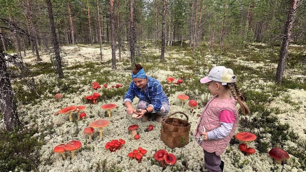 В ЛЕС ЗА ГРИБАМИ С ДЕВЧОНКАМИ. ВЗЯЛ В ЛЕС СВОИХ МАЛЫШЕК И ПОЖАЛЕЛ. ГРИБЫ КРУГОМ смотреть онлайн
