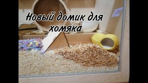 Новый домик хомяка! Выбираем правильный песок для хомячка.