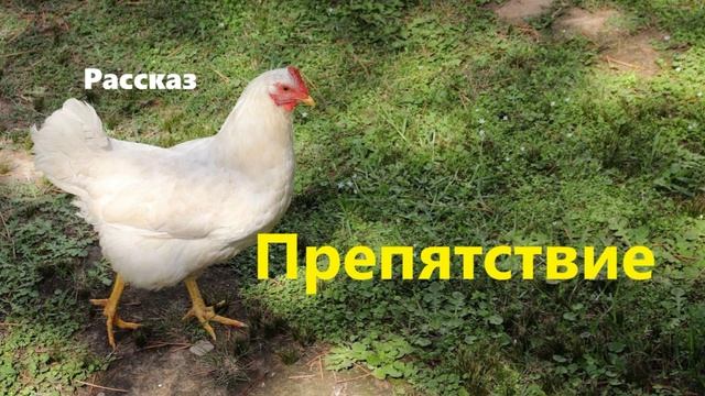 Препятствие.. (рассказ)