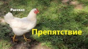 Препятствие.. (рассказ)