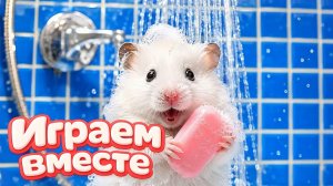 ХОМЯК ВЫБИРАЕТСЯ ИЗ СЕКРЕТНОЙ ХОМЯЧЕЙ ТЮРЬМЫ ! Забавные животные ! Супер лабиринт для хомяка №36