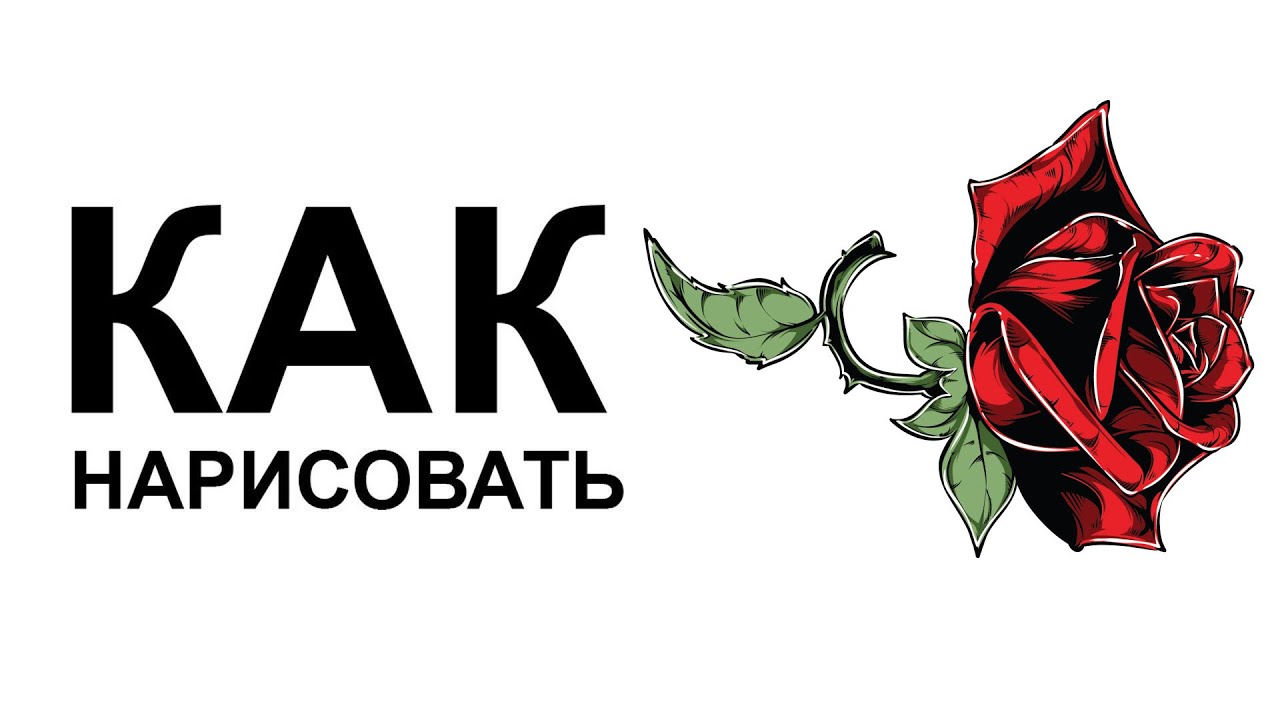 Как нарисовать красивую розу карандашом смотреть онлайн
