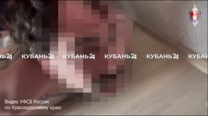 Житель Краснодара перевел деньги на помощь ВСУ под видом покупки товаров