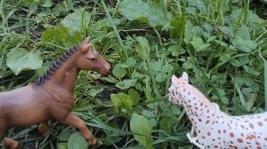Клип //~•Травля•~//лошади schleich