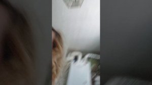 Я строю дачу