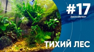Растительный аквариум - Тихий лес #Aquacontest