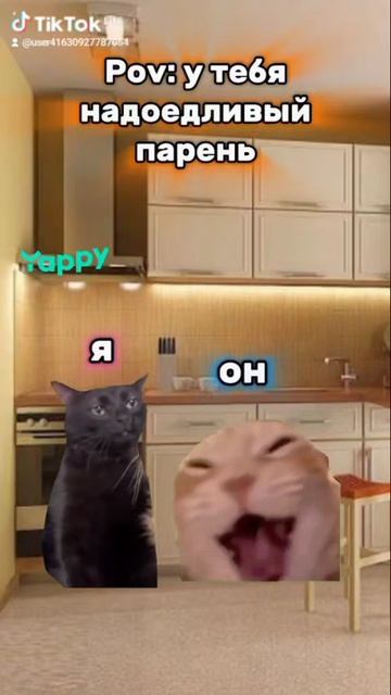 коты смотреть онлайн
