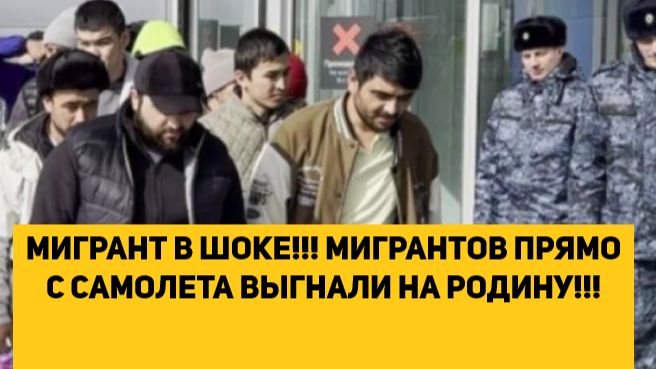 МИГРАНТ В ШОКЕ!!! МИГРАНТОВ ПРЯМО С САМОЛЕТА ВЫГНАЛИ НА РОДИНУ!!! смотреть онлайн