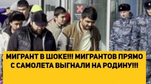 МИГРАНТ В ШОКЕ!!! МИГРАНТОВ ПРЯМО С САМОЛЕТА ВЫГНАЛИ НА РОДИНУ!!!