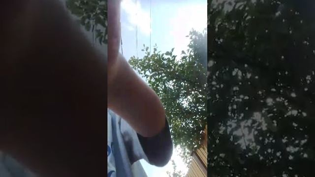 стрим смотреть онлайн