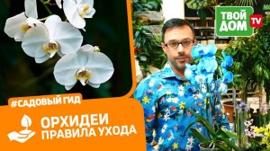 ВАШИ ОРХИДЕИ БУДУТ ЦВЕСТИ ВСЕГДА | Как ухаживать за орхидеей и правильная пересадка орхидеи