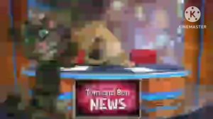 Talking Tom And Ben News «Fighting Scene»