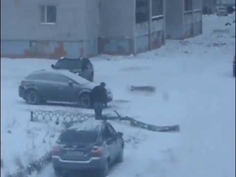 Мужик и дерево! смотреть онлайн