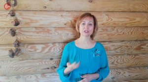Прокачай навыки успешных продаж. Хитрые приемы эффективных продаж
