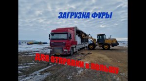 Загрузка ФУРЫ для отправки на ПОЛЬШУ